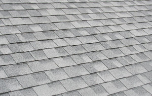 Asphalt Roof Profile